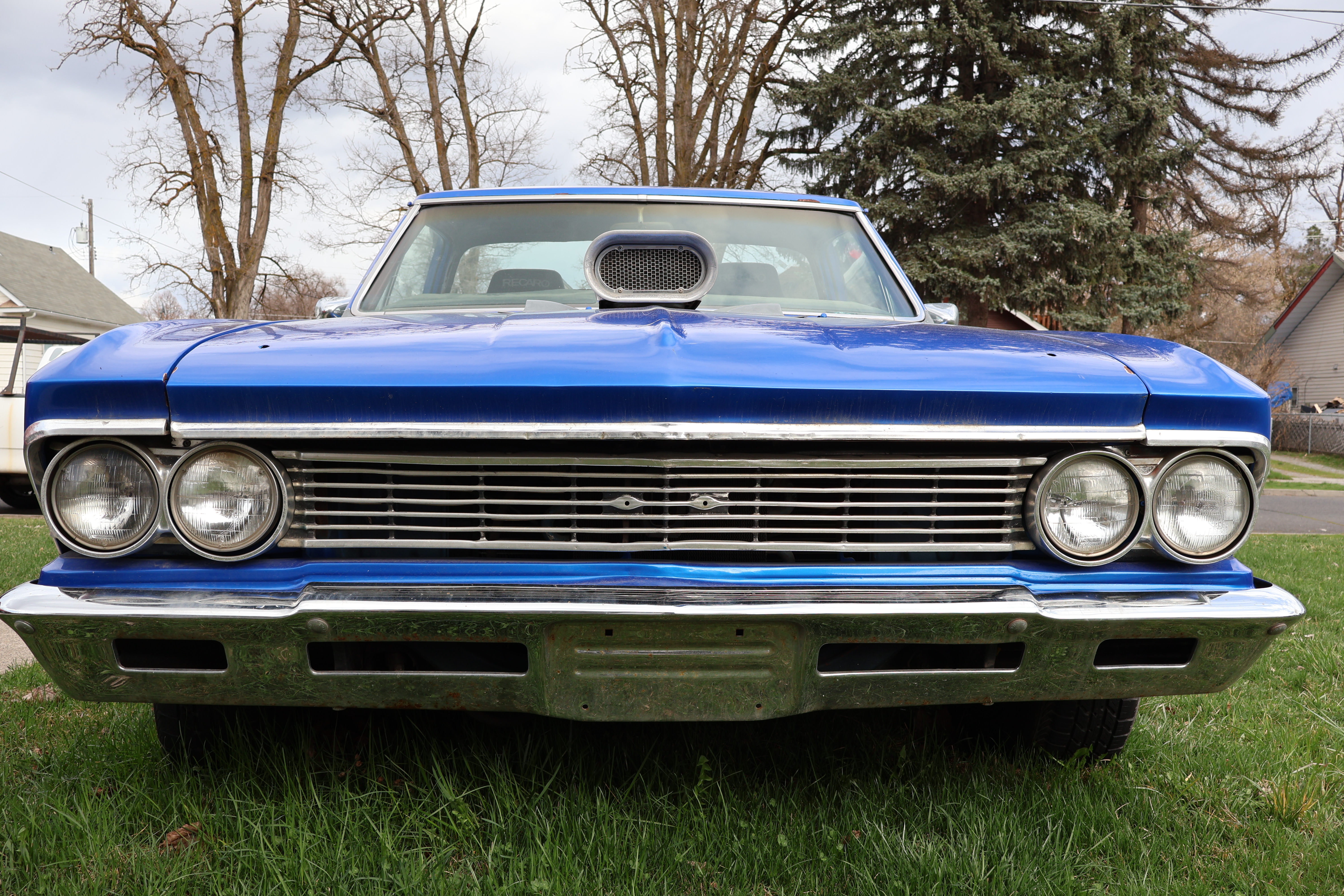 Fruit Fly Simulator game cover